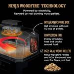 Ninja Woodfire Pro XL - Outdoor Grill, BBQ Smoker, Air Fryer, and More