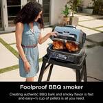 Ninja Woodfire Pro XL - Outdoor Grill, BBQ Smoker, Air Fryer, and More