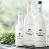 No.1 Rosemary Water - The Secret to a Long Healthy Life?