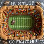 Nordic Ware Sports Stadium Bundt Cake Pan