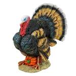 North American Turkey Statue