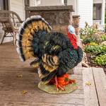 North American Turkey Statue