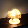 Nuclear Explosion Mushroom Cloud Lamp