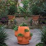 Oasis Tuscan Multi-Pot Planter
