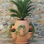 Oasis Tuscan Multi-Pot Planter