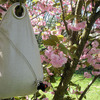Obag - On-the-Go or Hanging Boxed Wine Carrying Bag