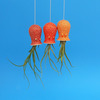 Octopus Air Plant Hanging Planter