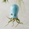 Octopus Air Plant Hanging Planter
