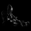The Octopus Chair by Maximo Riera