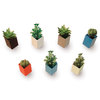 Off The Wall Mini Flower Pots