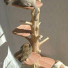 One Of A Kind Natural Cedar Cat Climbing Tree