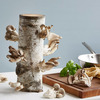 Organic Oyster Mushroom Growing Log Kit