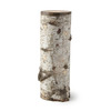 Organic Oyster Mushroom Growing Log Kit
