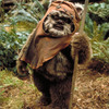 Original Wicket Ewok Fur Prop from Star Wars: Return of the Jedi