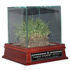 Original Yankee Stadium Freeze-Dried Grass