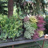 Outdoor Living Wall Planters