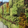 Outdoor Living Wall Planters