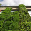Outdoor Living Wall Planters