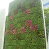 Outdoor Living Wall Planters