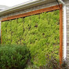 Outdoor Living Wall Planters