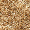 Outdoor Shag Rug