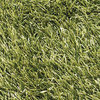 Outdoor Shag Rug