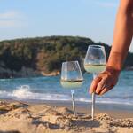 Outdoor Wine Glasses with Stainless Steel Stems for Soil or Sand