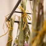 Over-the-Table Trellis