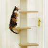 Over The Door Cat Climber