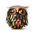 Owl Watering Can