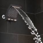 Oxygenics Evolution Rain Shower Head