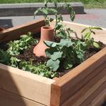 Oya - Terra Cotta Garden Watering Vessel