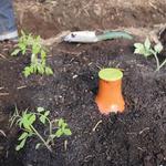 Oya - Terra Cotta Garden Watering Vessel