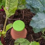 Oya - Terra Cotta Garden Watering Vessel