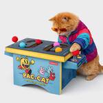 Pac-Cat - Cardboard Arcade Machine Toy for Cats