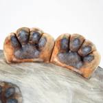 Pallas' Cat 3D Wildcat Pillow