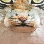 Pallas' Cat 3D Wildcat Pillow