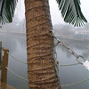 Palm Tree Hammock Stand with Cooling Mist Sprayers