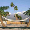 Palm Tree Hammock Stand with Cooling Mist Sprayers