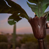 Palm Tree Tiki Torches