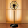 Panasonic Rinto - Luxurious Pedestal Fan