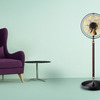 Panasonic Rinto - Luxurious Pedestal Fan