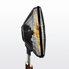Panasonic Rinto - Luxurious Pedestal Fan