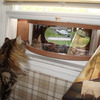 Panoramic In-House Window Bird Feeder With One-Way Mirror