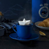 Paper Boat Tea Infuser