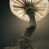 Paper Mache Mushroom Lamp