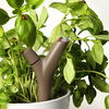 Parrot Flower Power - App-Controlled Smart Plant Monitor