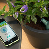 Parrot Flower Power - App-Controlled Smart Plant Monitor