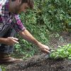 Parrot Flower Power - App-Controlled Smart Plant Monitor