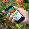 Parrot Flower Power - App-Controlled Smart Plant Monitor